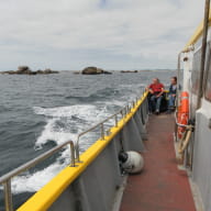 5 Balades et pêche en mer - Guilvinec - Pays Bigouden