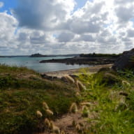 Plage Ti Lousou Saint Samson Plougasnou (15) TSFOT