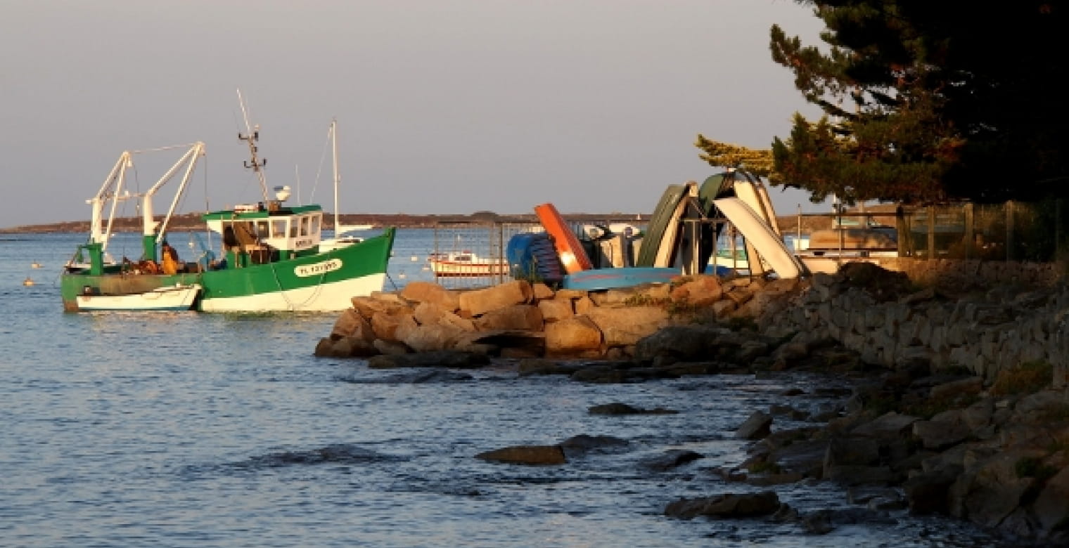 Ile Grande, Pleumeur-Bodou (17)