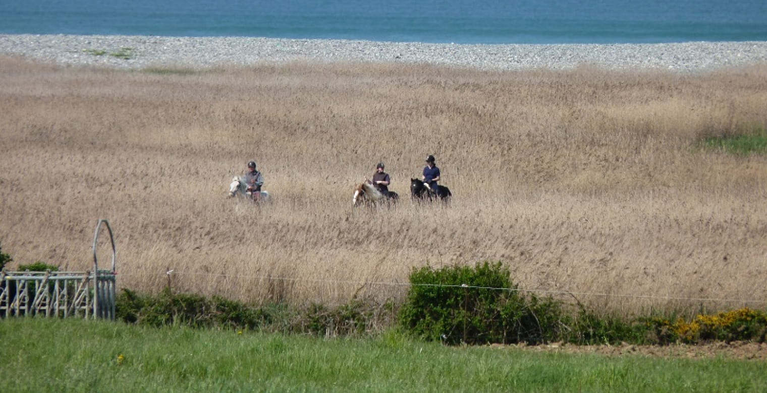 Centre-equestre-ty-march-Pouldreuzic-Pays-Bigouden-1