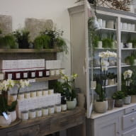 Comme une fleur - boutique - Saint-Malo