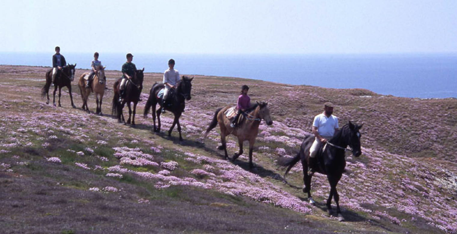 Centre équestre de Belle Ile en mer et poney club de l'aérodrome