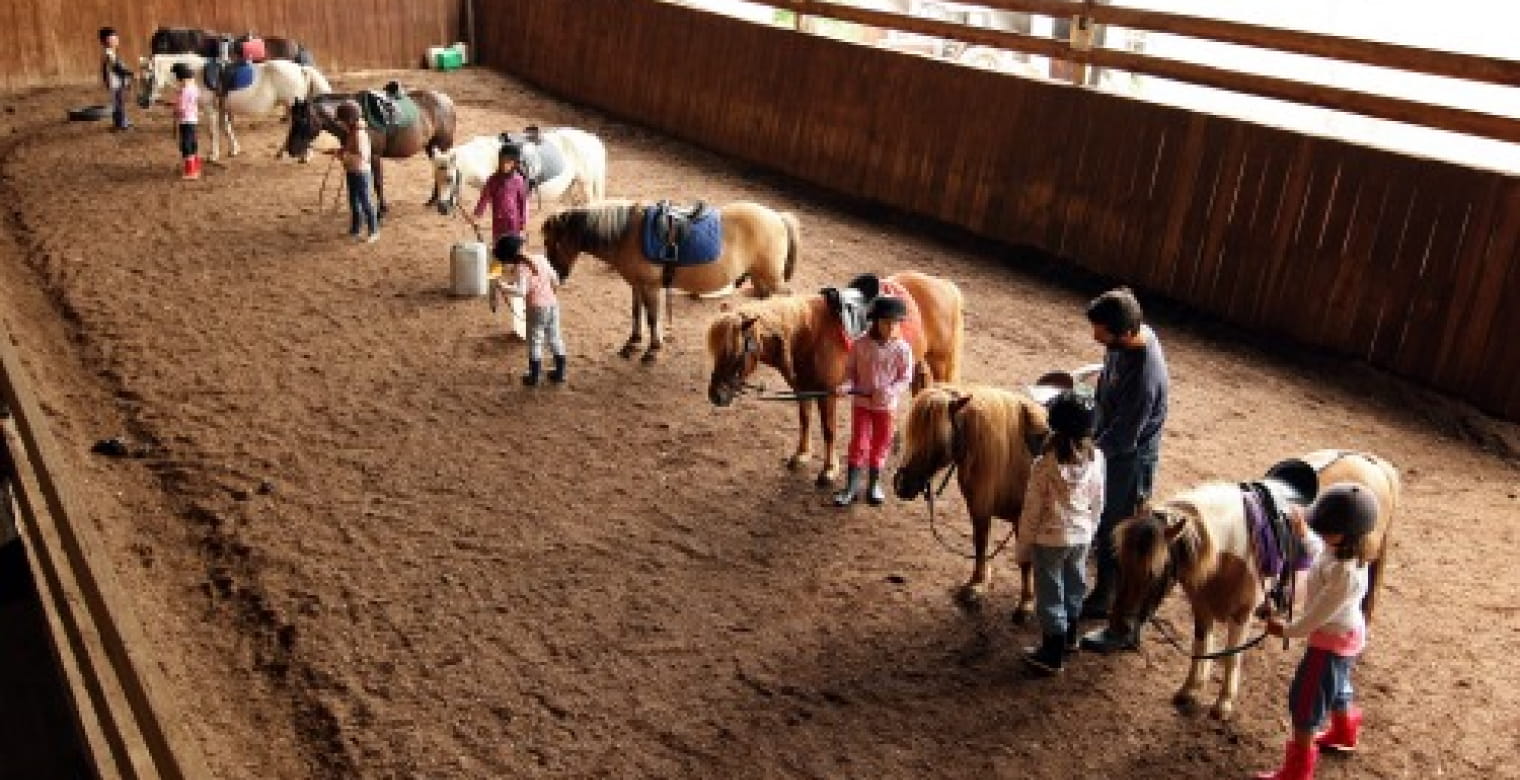 1 Poney club du moulin 500px