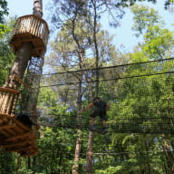 Filets-dans-les-arbres-Moulin-Neuf-Aventure---Loic-Kersuzan-Morbihan-Tourisme--63--2