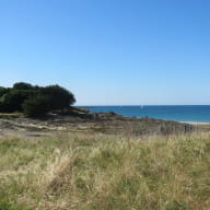 plage-du-tertre-pele--2-