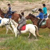 Centre équestre et poney club La Foucheraie