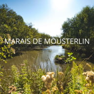 Marais de Mousterlin