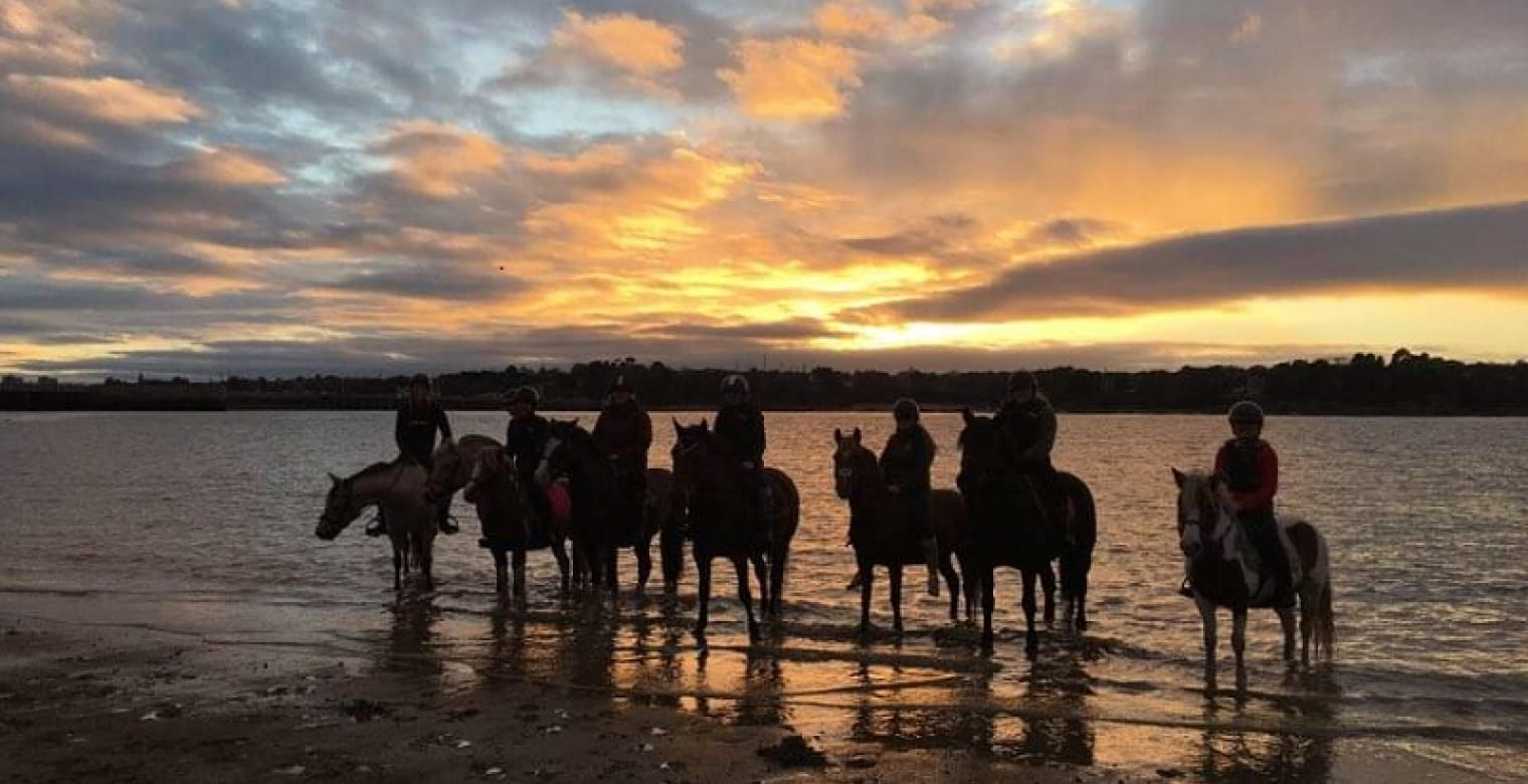 Poney Club - Aelis Poney Club - Saint-Malo