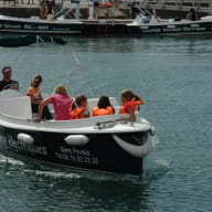 Ruban Vert - visites en bateaux électriques