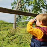 Observer les oiseaux enfants domaine de Careil Iffendic Brocéliande Bretagne balade nature ©office de tourisme