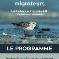 fete_oiseaux_migrateurs_vivarmor_2021