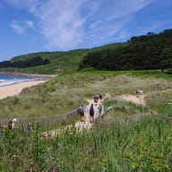 Vallée de Goas Lagorn