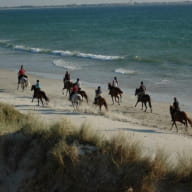 centre-equestre-le-Trefle-Ploneour-Lanvern-Pays-Bigouden-4