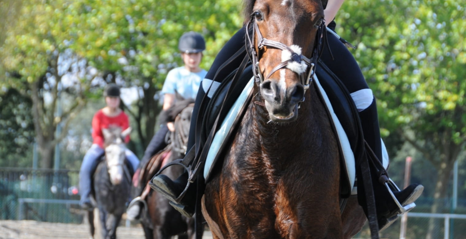 Centre Equestre Equi 22