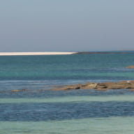 bandeau-yachtig-formations-croisiere