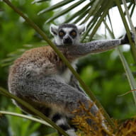 Parc Zoologique de Champrépus