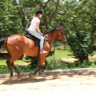 Centre equestre