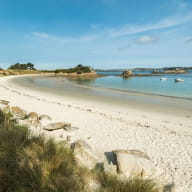 Roscoff48-17 - Pointe de Perharidy - Berthier