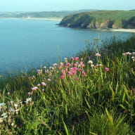 Pointe des Guettes