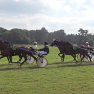 courses hippiques - ploermel - Brocéliande