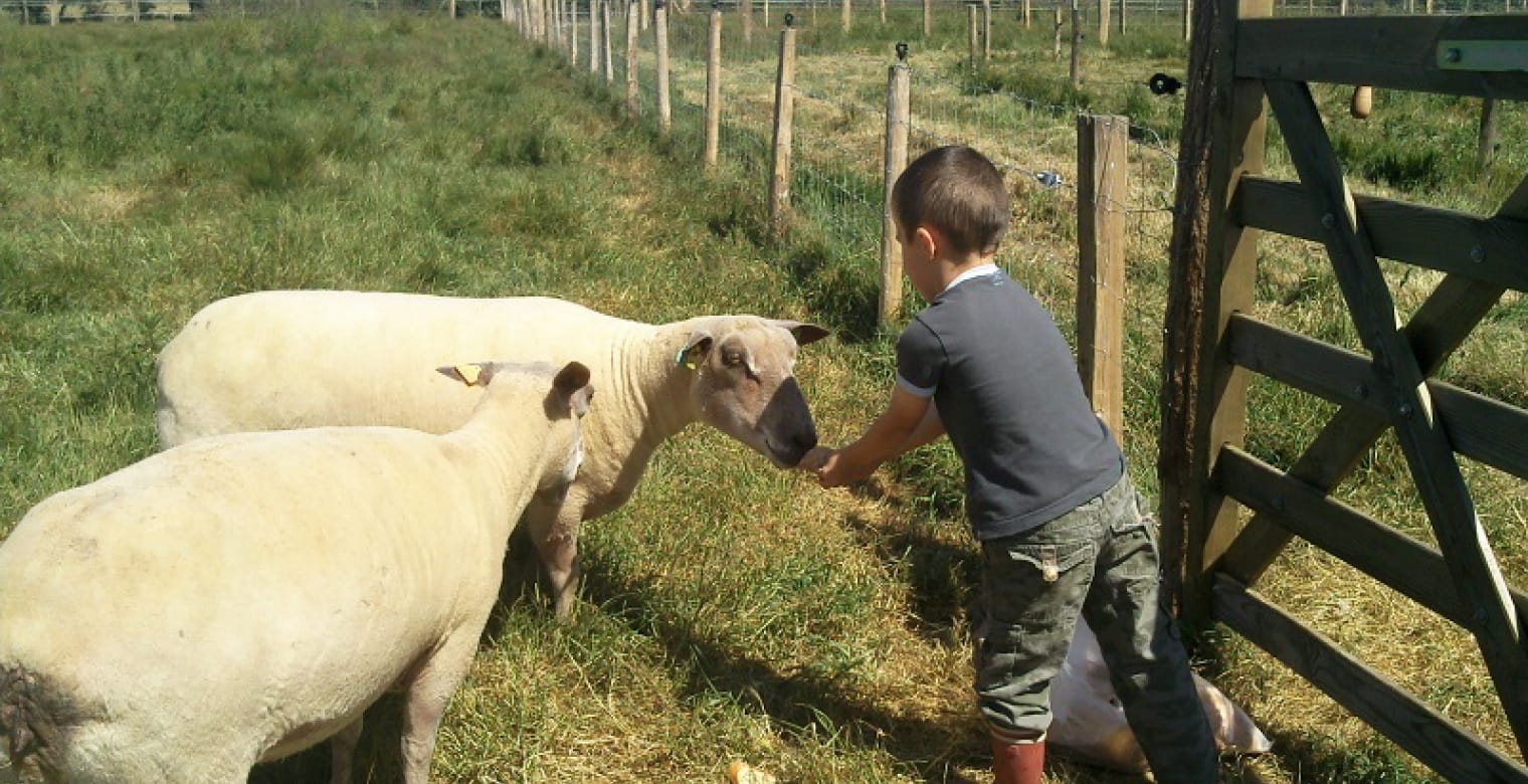 Ferme-de-Lanvern-Ploneour-Lanvern-Pays-Bigouden---1