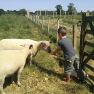 Ferme-de-Lanvern-Ploneour-Lanvern-Pays-Bigouden---1