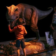 exposition - dinosaure - préhistoire - Ploërmel - Morbihan