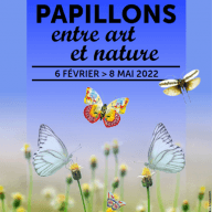 Expo-MDLB-papillons-interieure