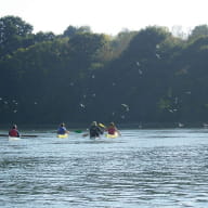 Kayak Plancoët - Descente maritime de la rivière à la mer