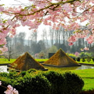 Pyramides végétales - Parc Botanique de Haute Bretagne