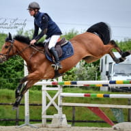 ecuries-saint-lunaire-Chevaux-parcours