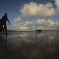 Marche aquatique de santé sur la grande plage de Saint Cast