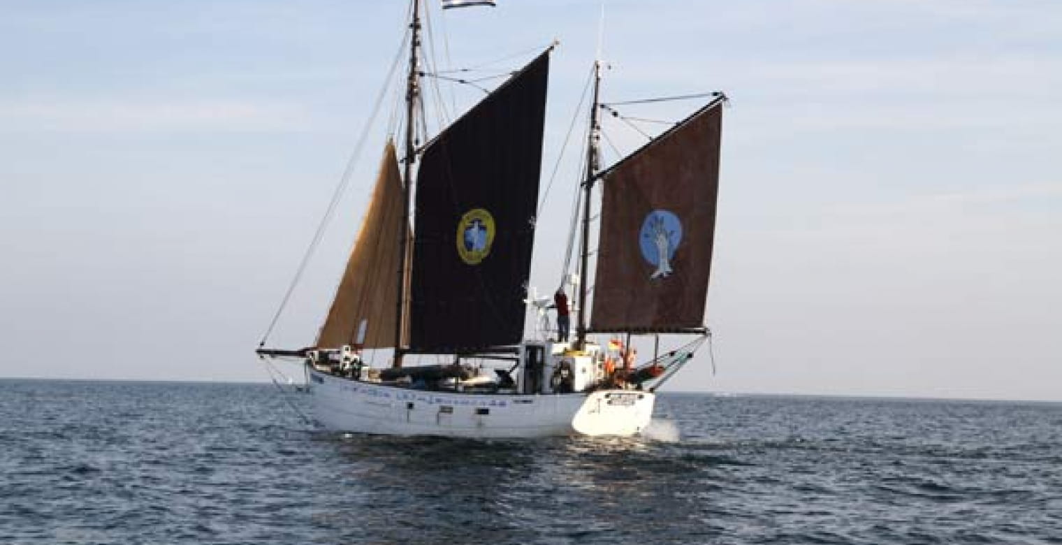 Croisières à bord du Bro Warok