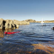 Balade à la palme en Baie de Morlaix