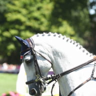 Dinard-Emeraude-Equitation-cheval