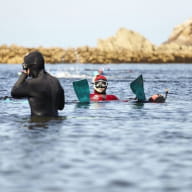 Balade à la palme en Baie de Morlaix